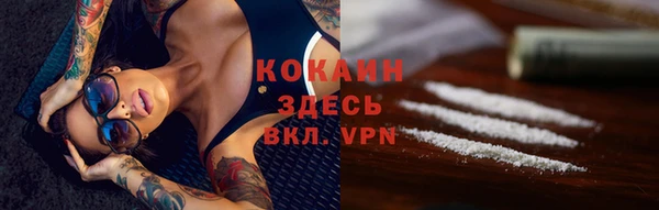 соль ск Лиски