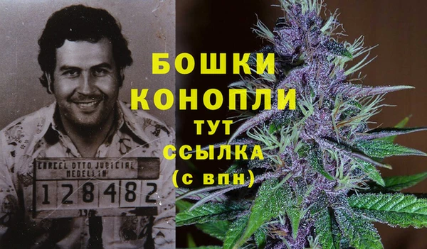 гидропоника Лихославль